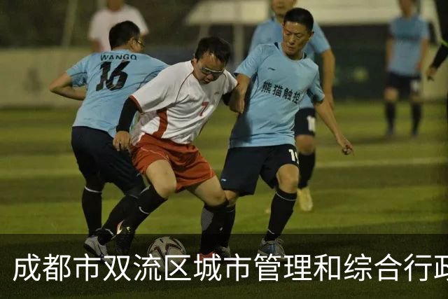 成都市双流区城市管理和综合行政执法局原党组副书记、局长苏强，严重违纪违法被“双开”