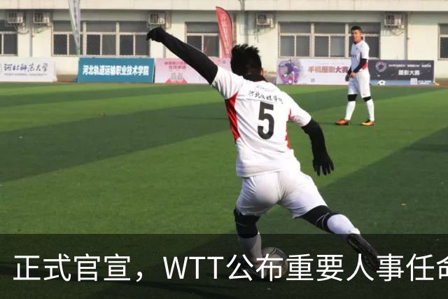 正式官宣，WTT公布重要人事任命，中国乒乓美女被提拔，正式上岗担任总监职务