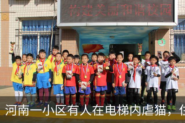 河南一小区有人在电梯内虐猫，住户称是一对母子，男子手撑电梯借力，踩踏猫身长达5分钟；警方已介入调查
