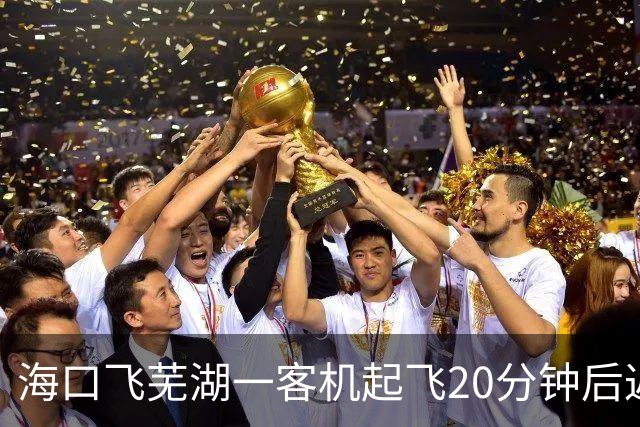 海口飞芜湖一客机起飞20分钟后返航，桂林航空：空中遇飞鸟撞击，需全面检查