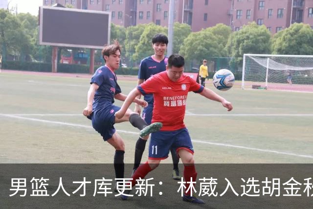 男篮人才库更新：林葳入选胡金秋付豪位置变更